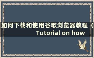 如何下载和使用谷歌浏览器教程（Tutorial on how to download and use Google Chrome）